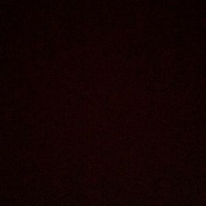 Meet your Posher, Sarena